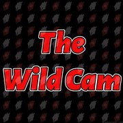 TheWildCam