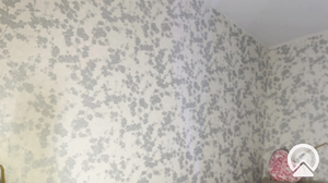 Darlingdarinka 2025-04-19