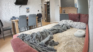 Living room camera at Pyro reallifecam apartment at Voy