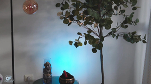 anabelcurvy-XHamsterLive-2026-10-20T15_15_36+02_00