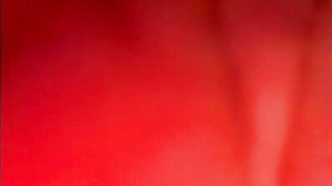 izanmiler