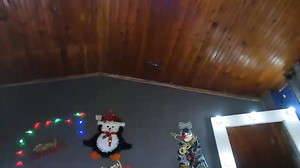 Ariana_Palmer Myfreecams 25-12-2022