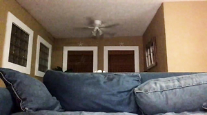 barbaradesiree November-14-2020 07-20-08 @ Chaturbate W