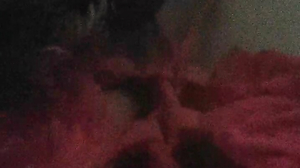 gelvanagomes5g5 March 29 2023 06-09-17 @ Cam4 WebCam