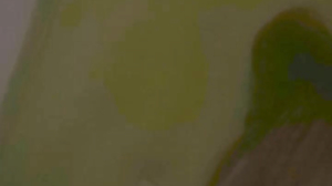 BeEluU March 29 2023 01-35-15 @ Cam4 WebCam