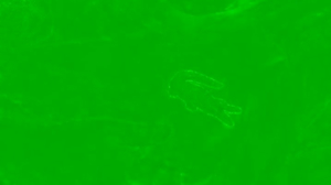 Monalisa2023 April 24 2023 11-17-11 @ Cam4 WebCam