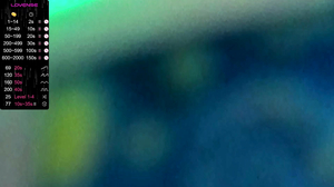 Golden_bag 2023-10-22