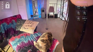 petitejewel November 25 2024 15-42-34 @ Chaturbate WebC