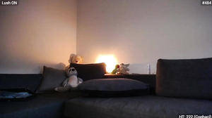 MyFreeCams - Bootysaur November 26 2024