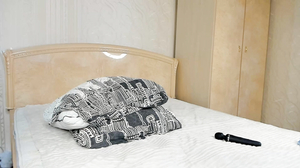 Sofia__home 2024-03-28